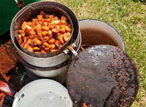 SPECIJALITETI ZBOG KOJIH SU STRANCI LJUBOMORNI NA NAS Ovih 20 jela i pića najbolje predstavljaju Srbiju, koje je vaše omiljeno? (FOTO)