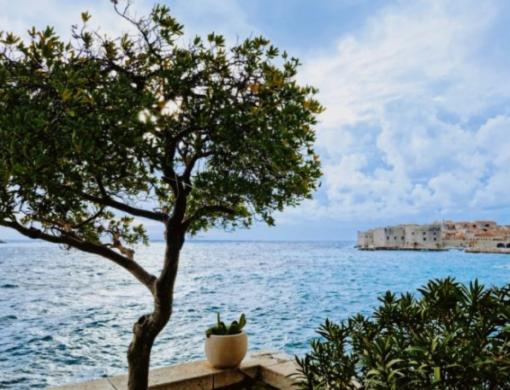 LJUBOMORNA KNEGINJA LJUBICA UPUCALA MLADU PETRIJU 15 neverovatnih lekcija iz srpske istorije koje vas nisu naučili na časovima