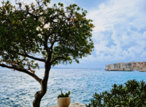 LJUBOMORNA KNEGINJA LJUBICA UPUCALA MLADU PETRIJU 15 neverovatnih lekcija iz srpske istorije koje vas nisu naučili na časovima