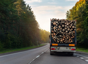 POSLE ČETIRI DANA "PAKLA" SVE SE ISPLATI Težak posao, ali ne čekaju kupce