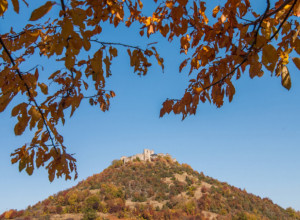 BIO JE ZAMAK KNEZA LAZARA Gradila ga je Prokleta Jerina, kamen po kamen, a materijal su na rukama nosili stari i mladi, žene i deca, čak i koze