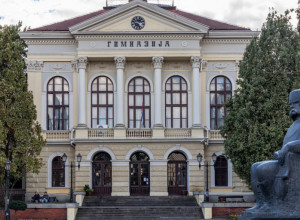 NOVINE SERBSKE Da li se pravilno kaže srbski ili srpski jezik