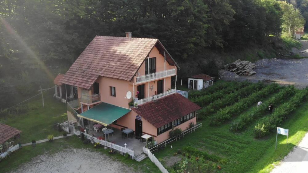 KAFANA U KOJOJ SE SNOVI OSTVARUJU Žene je više posećuju, čak 19 konobarica koje su tu radile brzo su se udale