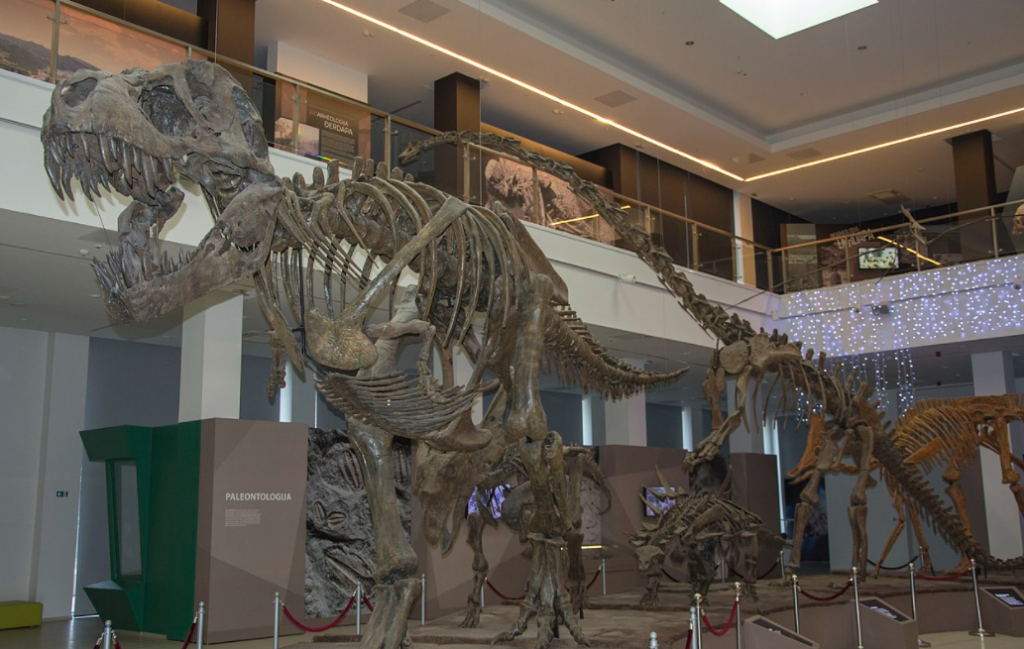 NAJVEĆI PRIRODNJAČKI MUZEJ U SRBIJI Dino park, šetnja kroz vulkan i razne postavke u kojima možete uživati