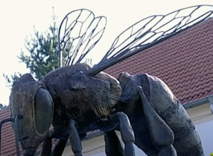 „DANI MLAVSKO-HOMOLJSKIH PČELARA“ Ova manifestacija postala je velika svetkovina pčelara Srbije, a i šire (VIDEO)