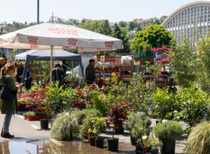 BEOPLANT FAIR Međunarodni sajam hortikulture i izložba organske proizvodnje