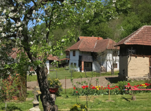 Bajkovito srpsko selo, okruženo sa čak 10 planina: Šumadijski biser od belih kućica gde meštani ne moraju da plaćaju vodu državi