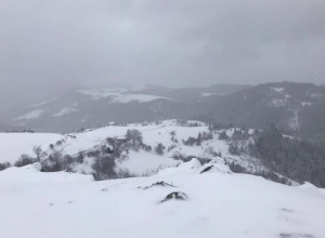 MALINARI U STRAHU ZBOG CRVENOG ZLATA U planinskim selima ove planine palo preko 20 centimetara novog snega