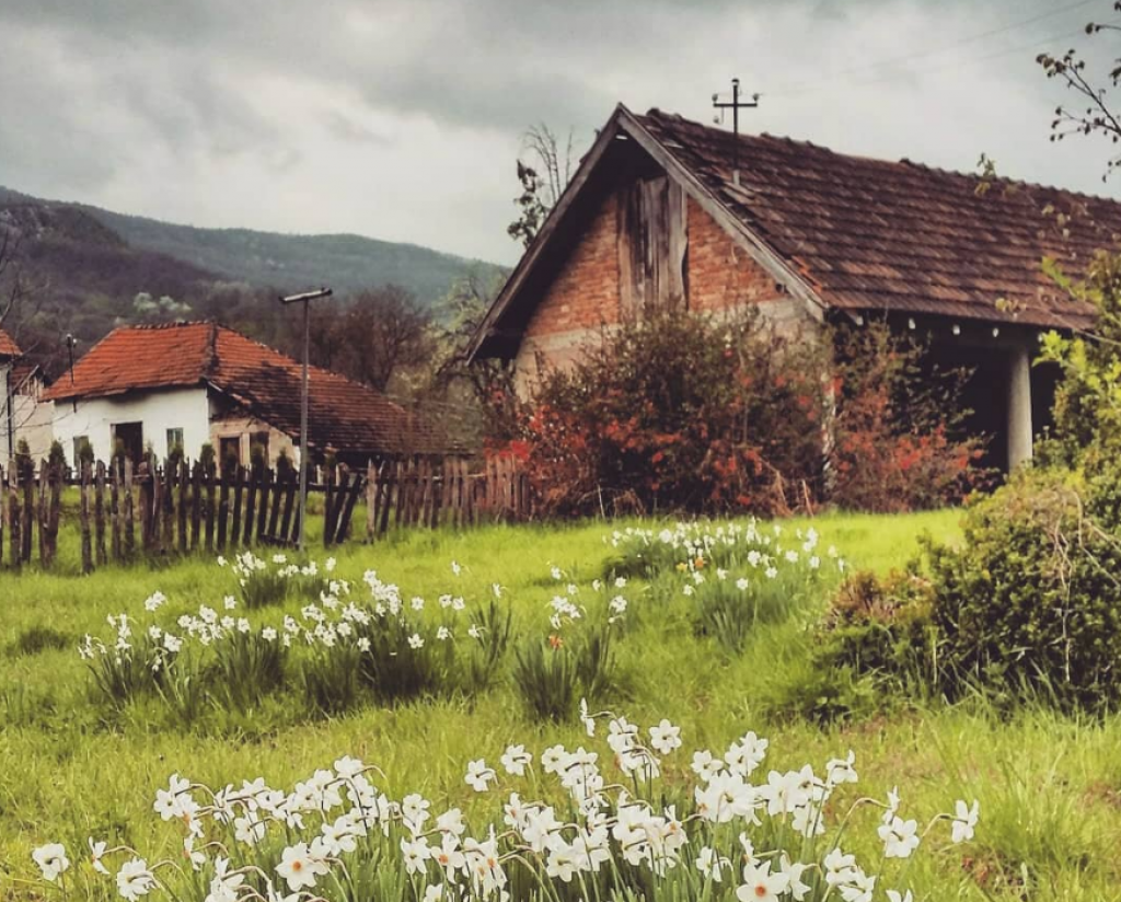 SELO ZLAKUSA JE SELO KOJE IMA DUŠU, TRADICIJU I BUDUĆNOST Poznato je po starom grnčarskom zanatu, smešteno u dolini reke Đetinje, a sama priroda oduzima dah (VIDEO)