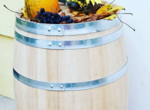 NAJMLAĐI PINTER U SRBIJI Burad za konjak na francuskom tržištu i priče o starim zanatima (VIDEO)