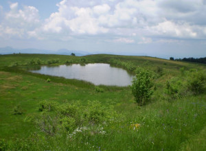 NEBESKA SUZA KANULA NA SRPSKU PLANINU  U izvorišnom delu Jastrebovačke reke skriveno je ovo velelepno prirodno bogatstvo Golije