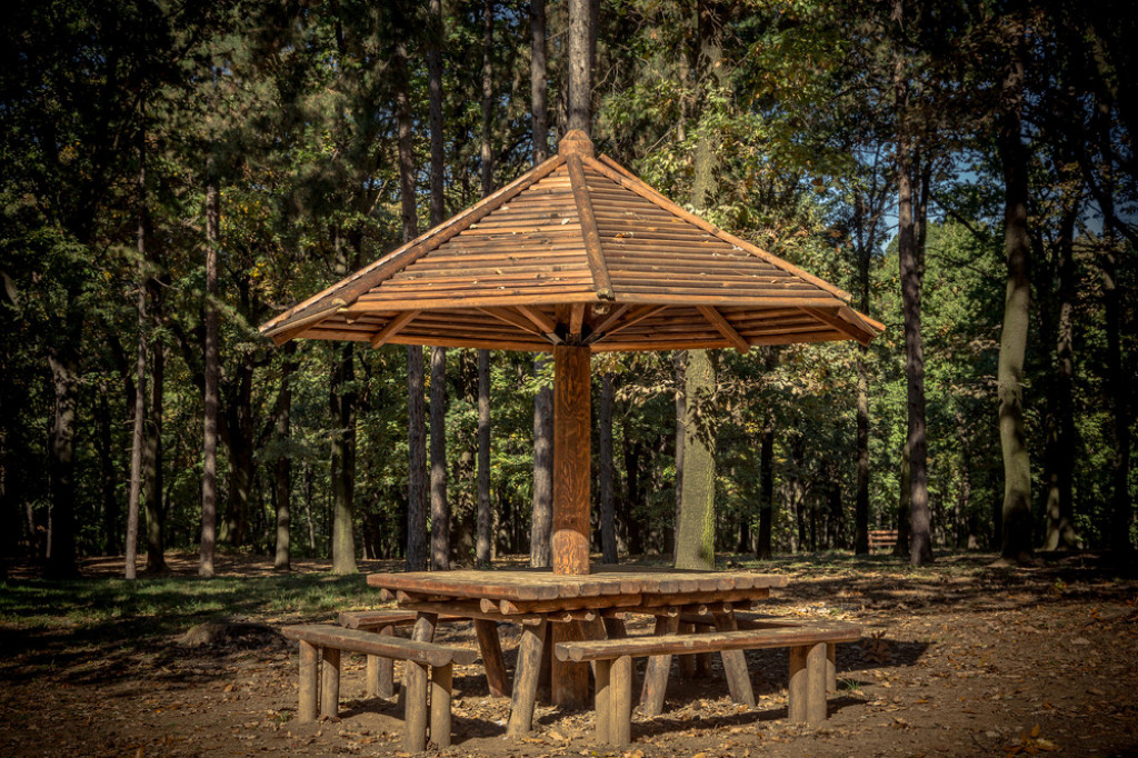 SAVRŠENA MESTA ZA IZLET U BLIZINI BEOGRADA Vikend van srpske prestonice ponekad može biti jednako osvežavajuć kao i pravi odmor