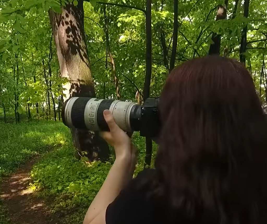 BUDITE DEO VIKIMEDIJINE PLATFORME Dođite na "Pančić foto-piknik" i svojim fotografijama zabeležite prirodu Srbije (VIDEO)