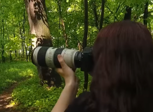 BUDITE DEO VIKIMEDIJINE PLATFORME Dođite na "Pančić foto-piknik" i svojim fotografijama zabeležite prirodu Srbije (VIDEO)