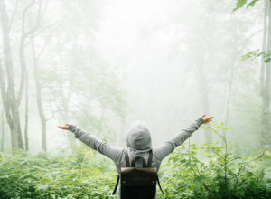 ONE SU PLUĆA NAŠEG OKRUŽENJA Srbija je prepuna šuma, a neke od njih su toliko magične da vam se čini da sanjate (VIDEO)