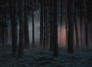 MESTA U SRBIJI ZA KOJA SE VEZUJE MAGIJSKA MOĆ Od lekovitih voda i sreće u ljubavi pa sve do najmračnijih sila