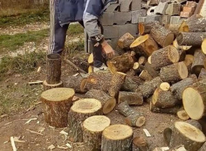 Ako prodamo jedan metar u deset dana dobro je: Cene drva niže nego prošle godine ali kupaca nema ni za lek