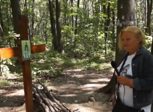 MESTA LEKOVITOG MAGNETNOG "ZRAČENJA"? Kažu da povoljno utiču na centralni nervni sistem i lečenje raznih bolesti (VIDEO)