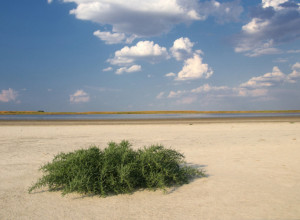 Lekovita banja na obali slanog jezera: Mesto legendi i rehabilitacioni centar Srbije VIDEO