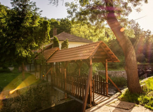 SRPSKA KRUNA ISTOČNE SRBIJE Vode ove bаnje spаdаju u red nаjlekovitijih kod nas, mnogi ih porede sа vodаmа аustrijskih i švаjcаrskih