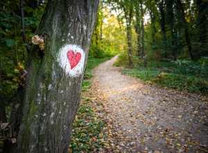NEVEROVATNA PRIČA KOJA ĆE VAS OSTAVITI BEZ TEKSTA Da li znate koji je najstariji nacionalni park u Srbiji? (FOTO)