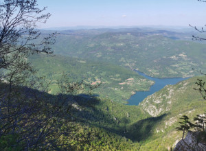 TARA NEĆE BITI "ZLATIBORIZOVANA" Maksimalno će se zaštititi zemljište i šume na srpskoj planinskoj lepotici, MOĆI ĆETE DA UČESTVUJETE
