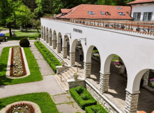 MESTO GDE IZVIRE GVOZDENA VODA Banja nudi lekovite vode, prelepe i prostrane bazene sa tolpom vodom tokom cele godine