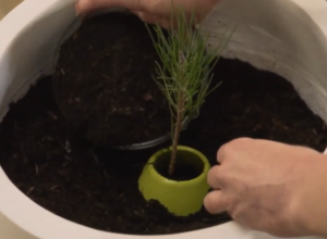 DRVO ŽIVOTA JER SMRT ZNAČI NOVO ROĐENJE U poređenju sa klasičnom sahranom, interesovanje za kremaciju poslednje decenije u Beogradu je konstantno