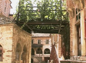 ČUDOTVORNA LOZA SA HILANDARA: Verovanje kaže da je ova biljka magična, ako ona uvene doći će kraj sveta!