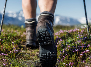 POGLED U PLANINE DOK MARŠIRATE U POBEDU Na Staroj planini održava se najteža planinska trka u Srbiji - "Ultra trail Stara planina" (VIDEO)
