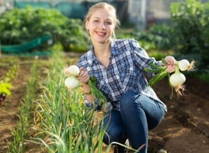 LUKA ĆE BITI KAO U PRIČI, SAMO AKO OVU BILJKU POSADITE PORED: Niste ni svesni kako će se ROD DUPLIRATI!