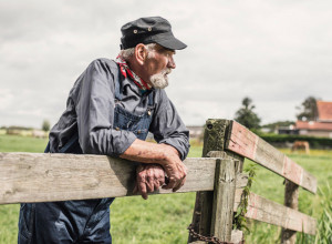 "Sinovi, zastanite. Čeka vas neutešni otac Ljubomir." Pismo penzionera iz Srbije koje se čita sa knedlom u grlu
