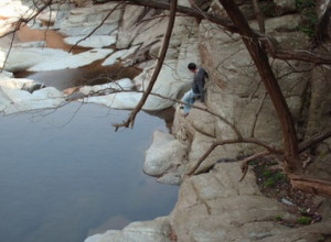 VIROVI SU OMILJENO MESTO ZA KUPANJE Kanjon reke Vučjanke krije mnoga bajkovita mesta poput ovog (FOTO/VIDEO)
