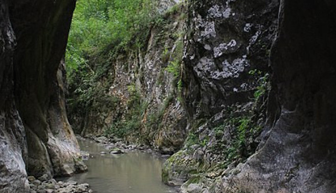 JEDAN JE OD NAJUŽIH U EVROPI Probijajući se kroz stene, Zvonačka reka useca minijaturni kanjon (FOTO/VIDEO)