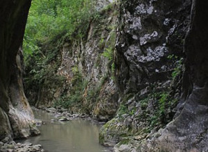 JEDAN JE OD NAJUŽIH U EVROPI Probijajući se kroz stene, Zvonačka reka useca minijaturni kanjon (FOTO/VIDEO)