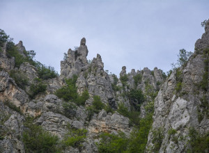 DIVLJA LEPOTA VLAŠKE PLANINE Ime dobila po selu Vlasi, koje je naziv dobilo po množini reči vlah koja može označavati stočara (FOTO/VIDEO)