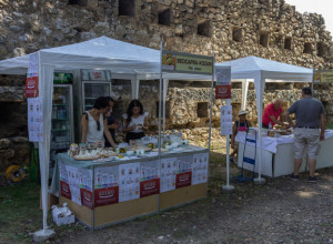 Omiljena banja Ive Andrića i Branislava Nušića: Lekoviti izvori pogodni za sve vrste bolesti