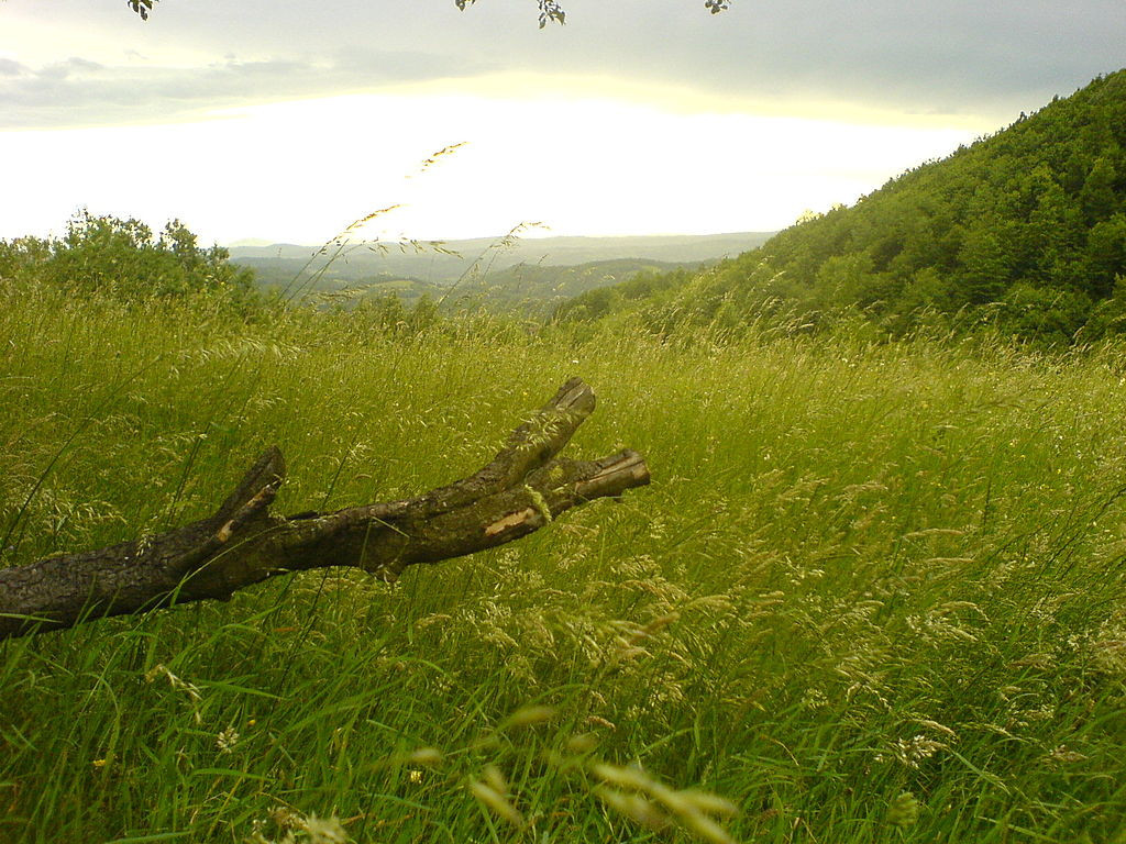 PLANINA KOJA DOMINIRA ŠUMADIJOM Još 1922. godine Rudnik je bio proglašen za vazdušnu banju (FOTO/VIDEO)