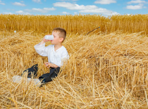 VEKOVNA TRADICIJA NA RAJCU Nekadašnji narodni običaj uzajamnog pomaganja na selu prilikom velikih radova leti (FOTO/VIDEO)
