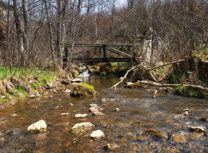 STRPLJENJE I PRAVI TRENUTAK Dobar ribolovac se nikada ne vraća praznih ruku, a ovo su najbolja mesta za pecanje u Srbiji (FOTO/VIDEO)