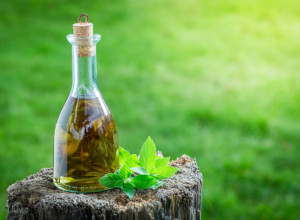 USPORAVA STARENJE I POBOLJŠAVA VARENJE Poznati srpski travar otkriva recept za čudotvorni liker