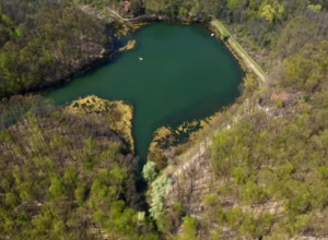 OAZA MIRA U SRCU SRBIJE Uprkos strašnoj legendi u Zaovi ima i ljubavi, klupa koju posećuju mnogi zaljubljeni (VIDEO)