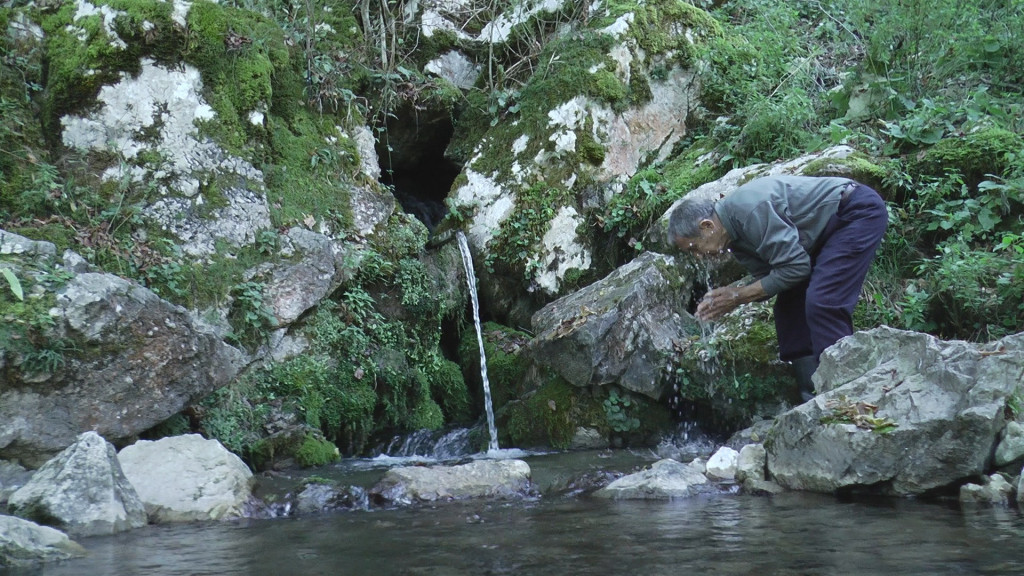 MEŠTANI PREPRIČAVAJU BROJNA ČUDA Ljubavni izvor sakriven u šumi kod manastira Rača već vekovima posećuju nerotkinje (FOTO)