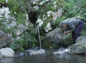 MEŠTANI PREPRIČAVAJU BROJNA ČUDA Ljubavni izvor sakriven u šumi kod manastira Rača već vekovima posećuju nerotkinje (FOTO)