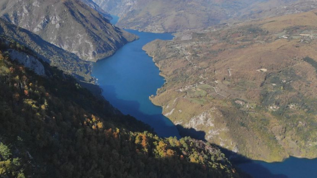 KRALJICA PLANINE TARE U NESTAJANJU! Stabla u plamenu, ali ova izuzetno retka vrsta još uvek se ne predaje (FOTO/VIDEO)