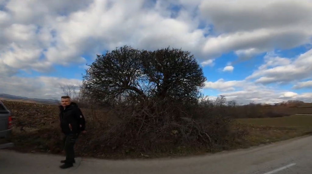 SVI DRHTE OD OVOG UKLETOG DRVETA Ko je s njega nešto ubrao poginuo je istog dana! (FOTO/VIDEO)