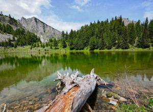 INFORMACIJE KOJE TREBA ZNATI Područja s visinama do 500 m i do 1000 m zauzimaju oko 65% površine naše zemlje