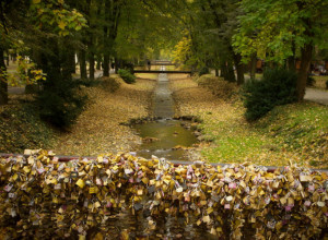 HIT OGLAS Deka iz Vrnjačke Banje nudi penziju od 70.000 dinara, a evo šta traži zauzvrat (FOTO)