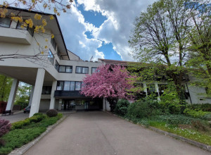 BANJSKI TURIZAM NADOMAK BEOGRADA Oaza čistog vazduha, mira i zelenila koja se prostire na 20 hektara parka sa cvetnim lejama (FOTO)