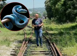 GOSPODAR ZMIJA SA JUGA Nema mesta panici, u Beogradu nema otrovnica